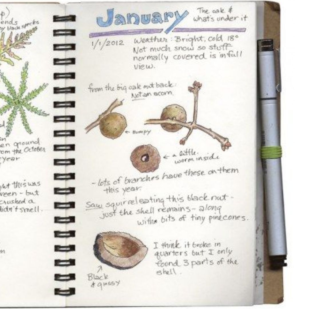 Intermediate Nature Journaling Workshop - logo